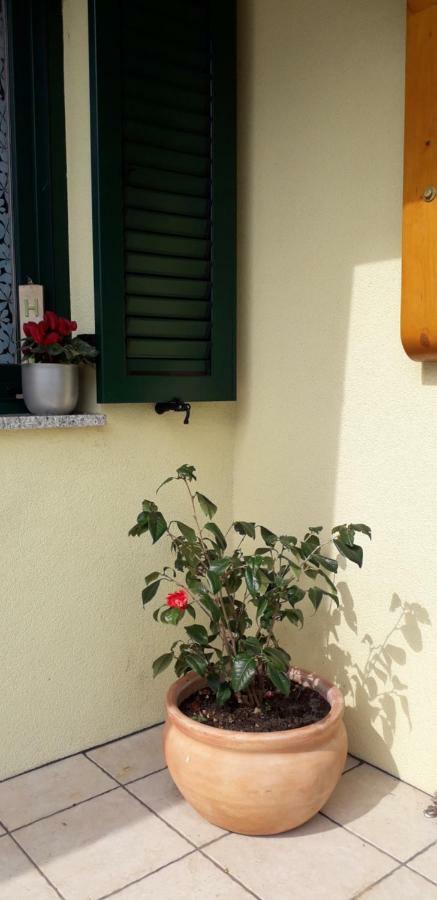 Studio Laura Icici Exterior photo